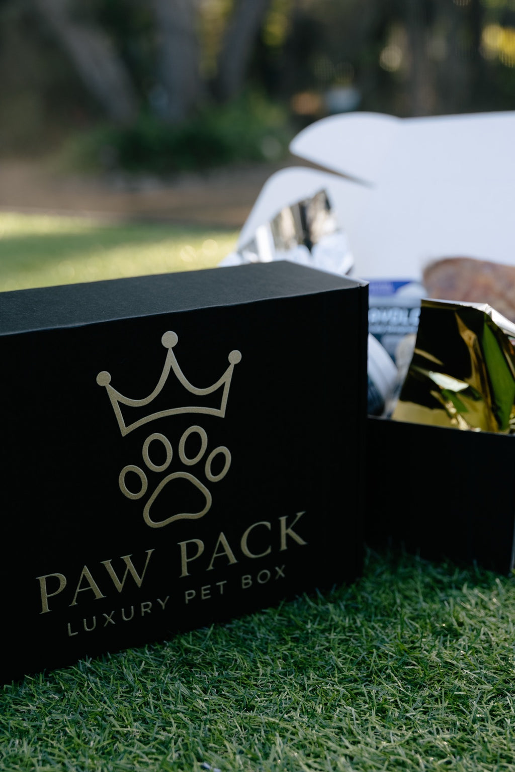 Paw Pack Large Dog