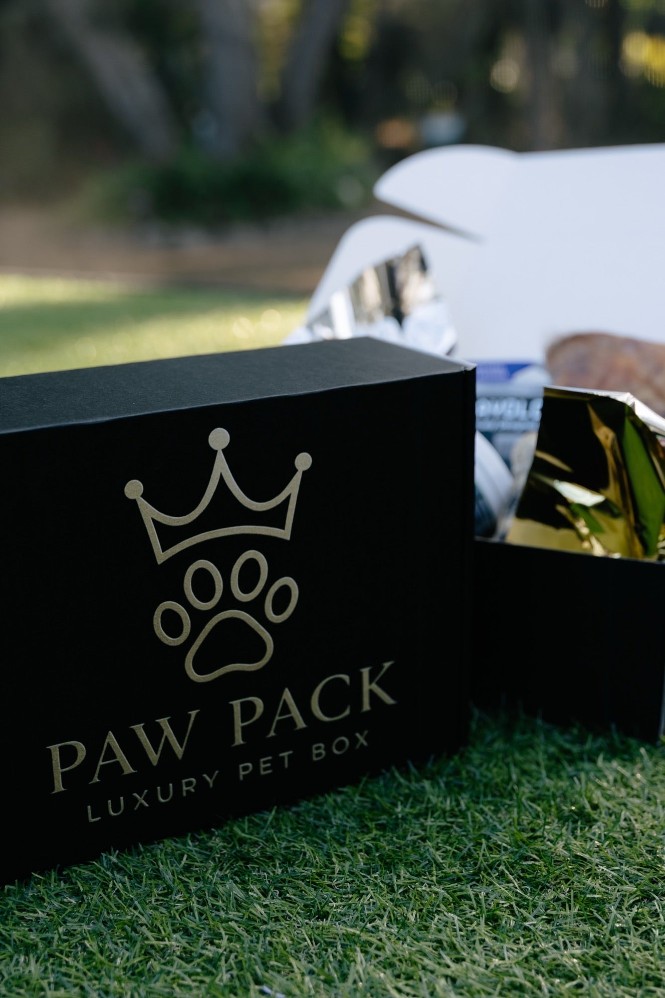 Paw Pack Large Dog