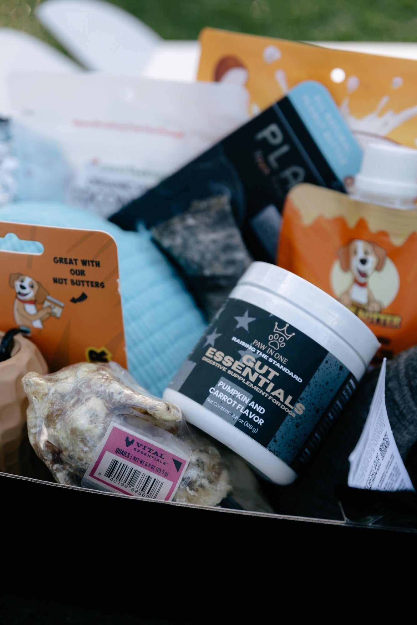 GUT ESSENTIALS – Advanced Digestive Enzyme Supplement for Dogs (Pumpkin & Carrot Flavor)