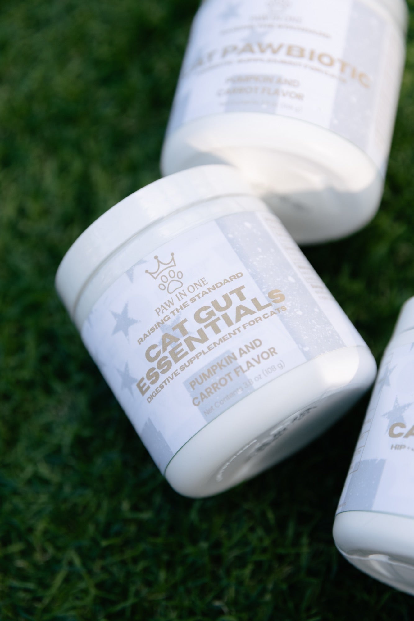 CAT GUT ESSENTIALS – Advanced Digestive Enzyme Supplement for Cats (Pumpkin & Carrot Flavor)