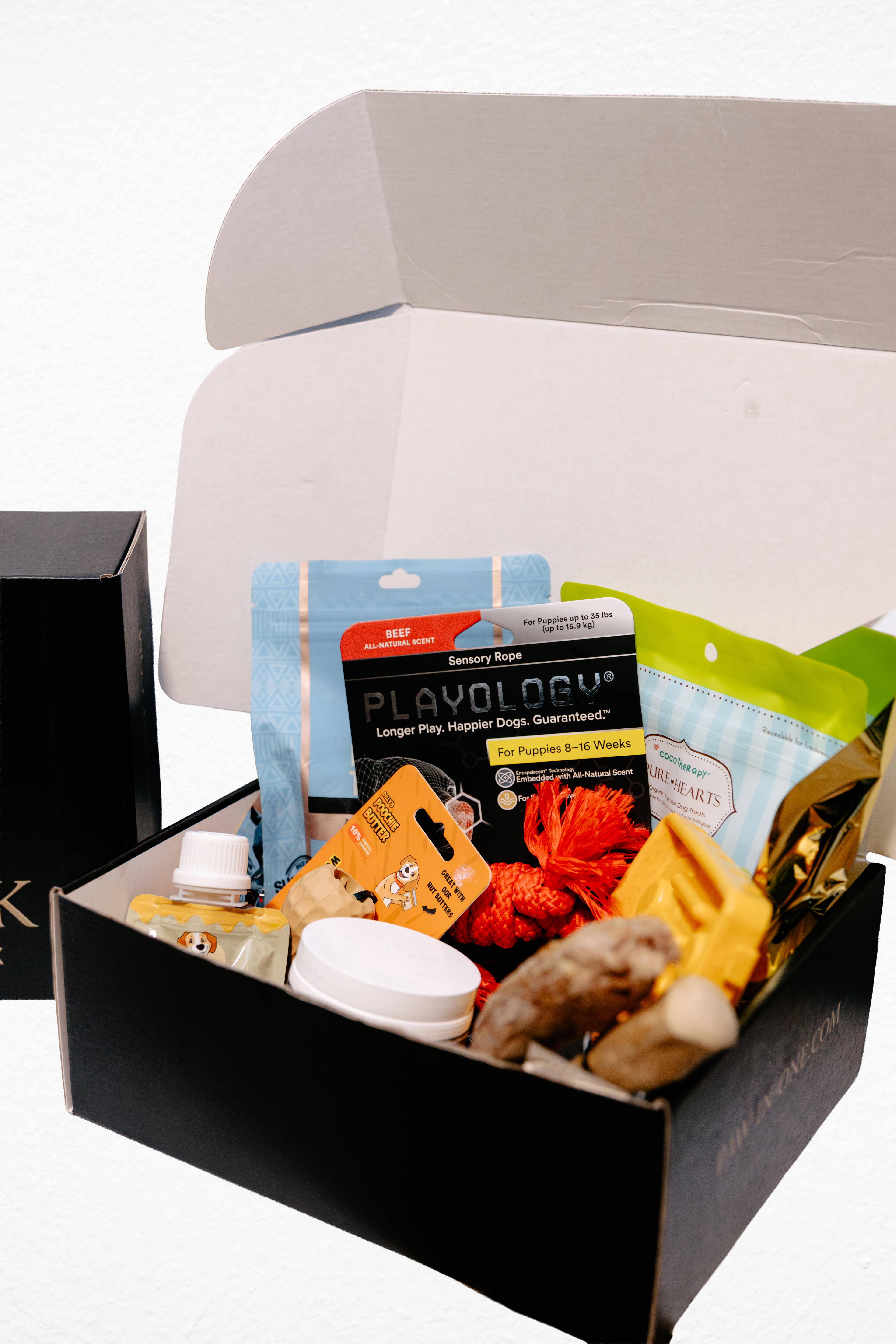 Box of pet supplies including toys and treats on a white background